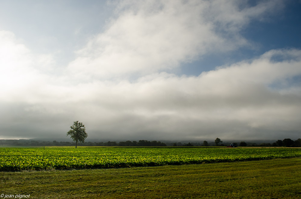 paysage de plaine 08 2018.jpg