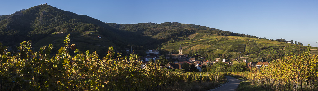 Vignobles de Ribeauvillé-29-Panorama.jpg