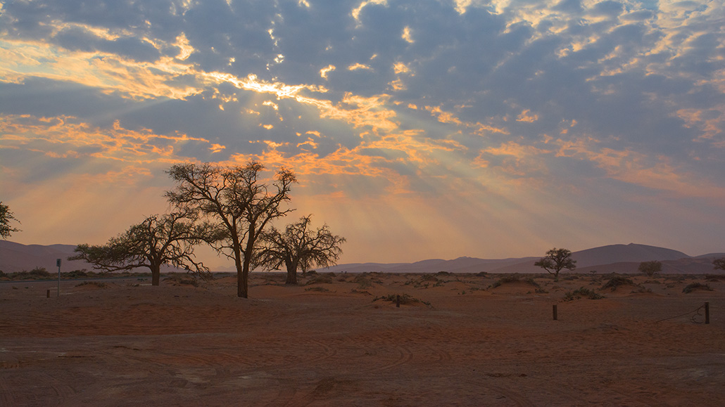 157-Sossusvlei à l'aube.jpg