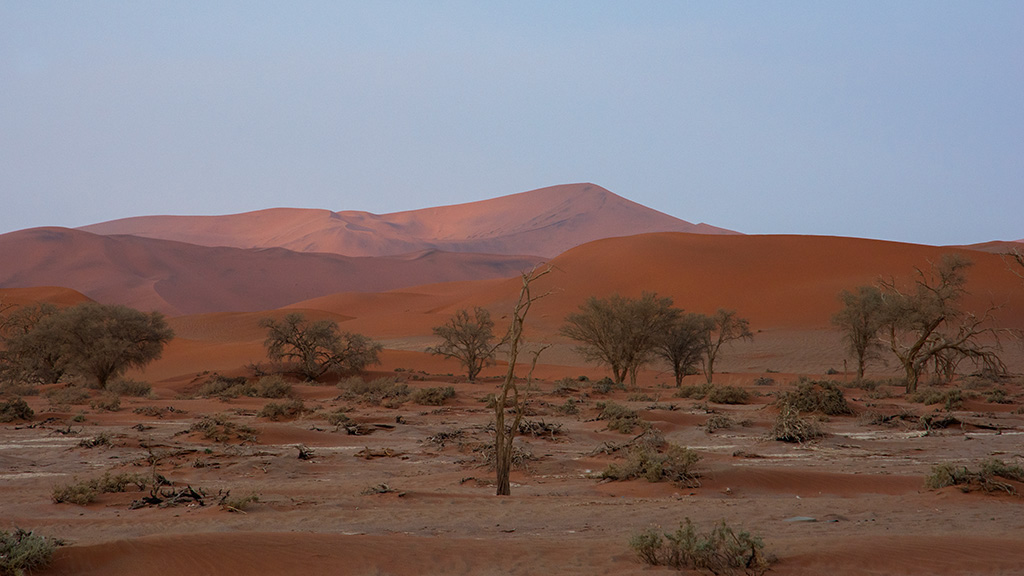 158-Les dunes de Sossusvlei.jpg