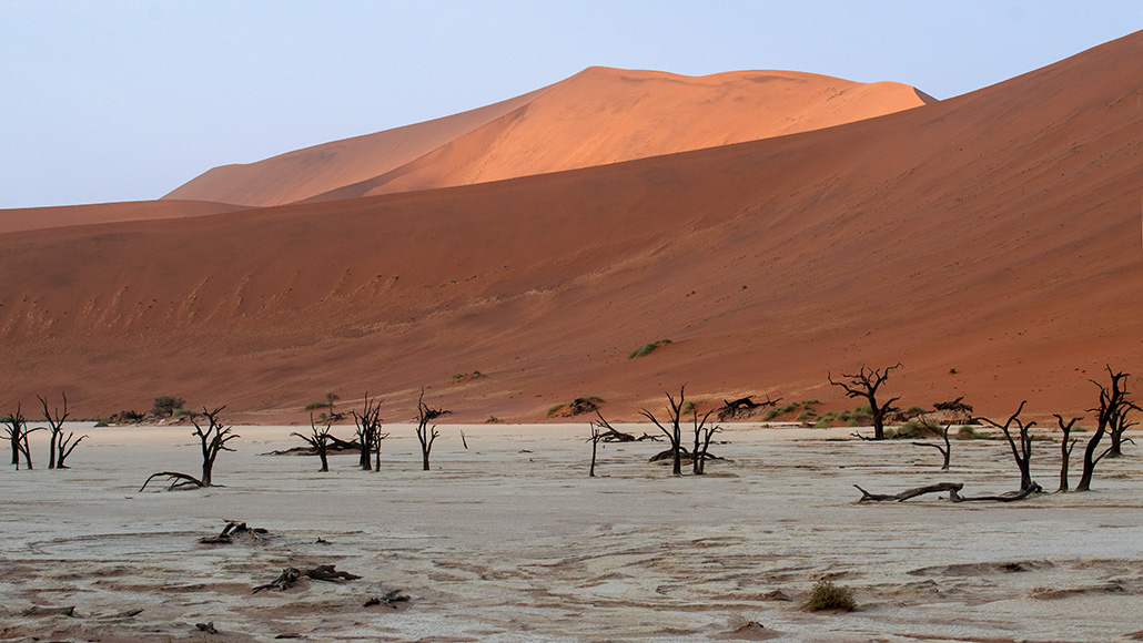 170-Dead Vlei.jpg