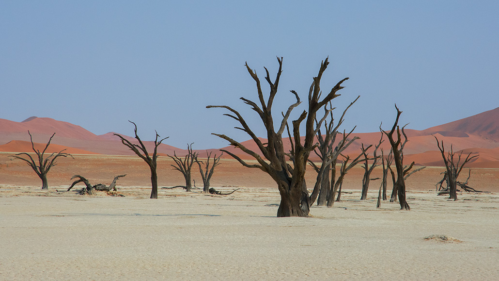 179-Dead Vlei (panoramique).jpg