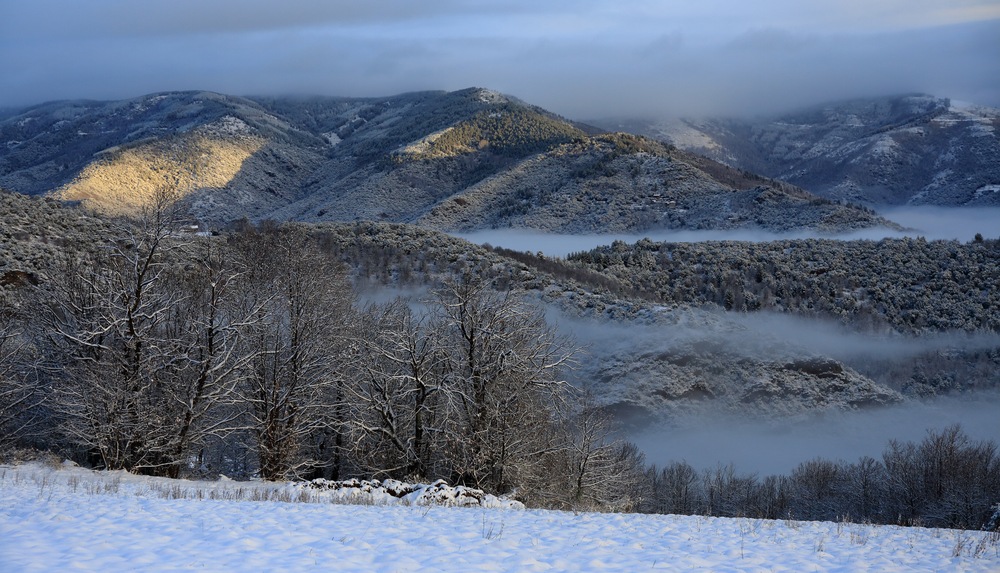 Les Cévennes 1.jpg