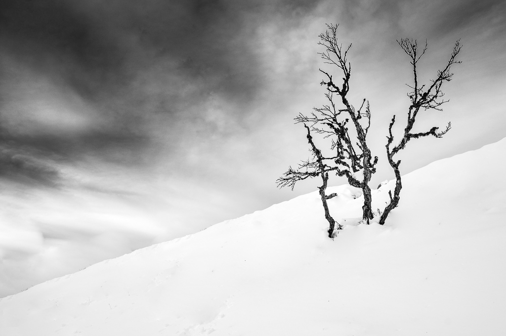 concours paysages enneigés.jpg