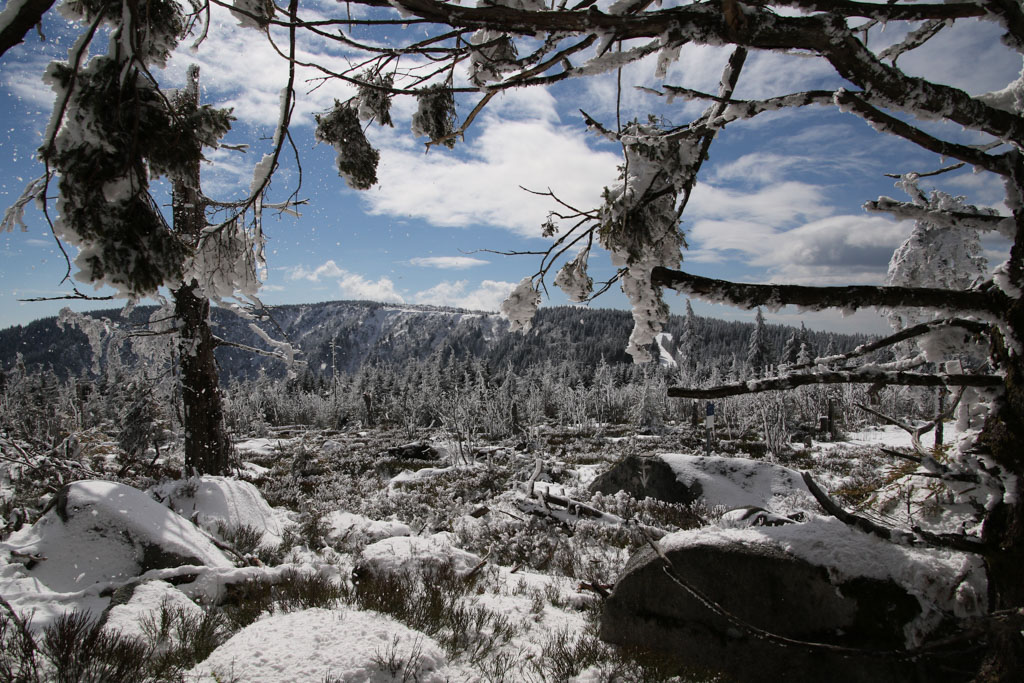 Lac Blanc Vosges 2018 1.jpg