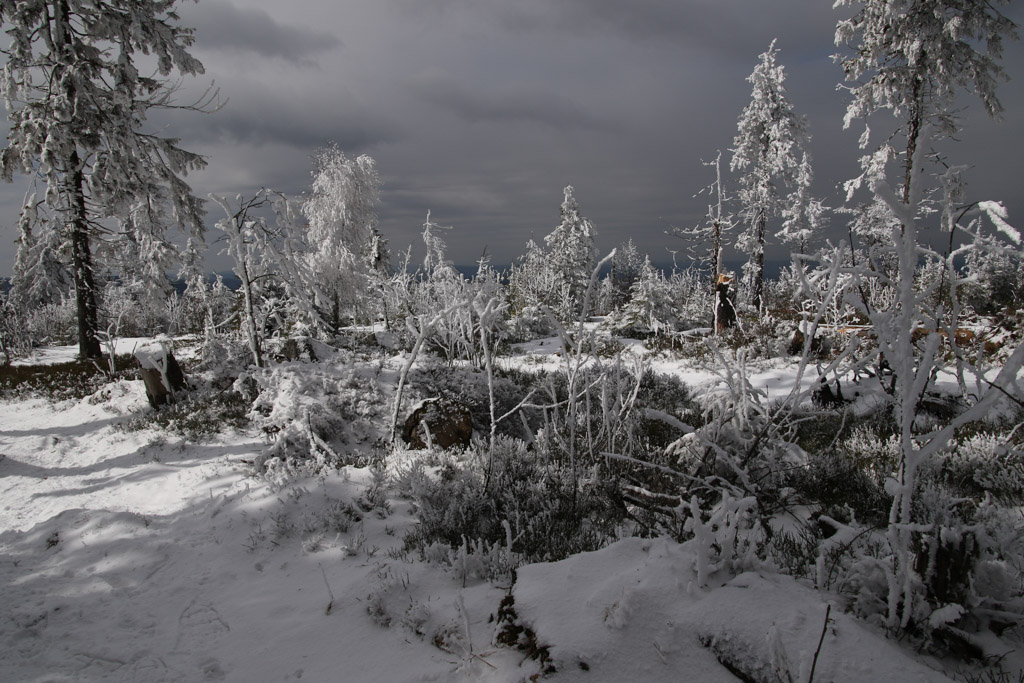 Lac Blanc Vosges 2018 3.jpg