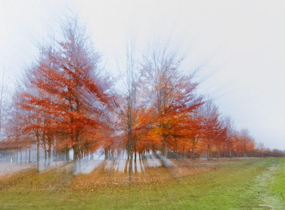 3 couleur d'automne recadrée.jpg