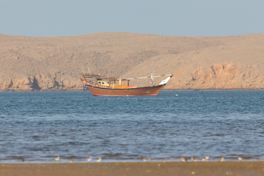 _IN Bateau Pêcheur 2019-01 Khawr al Jaramah-2.jpg