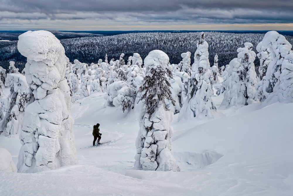 20190216-MONT-LIVAARA-FINLANDE-(16).jpg