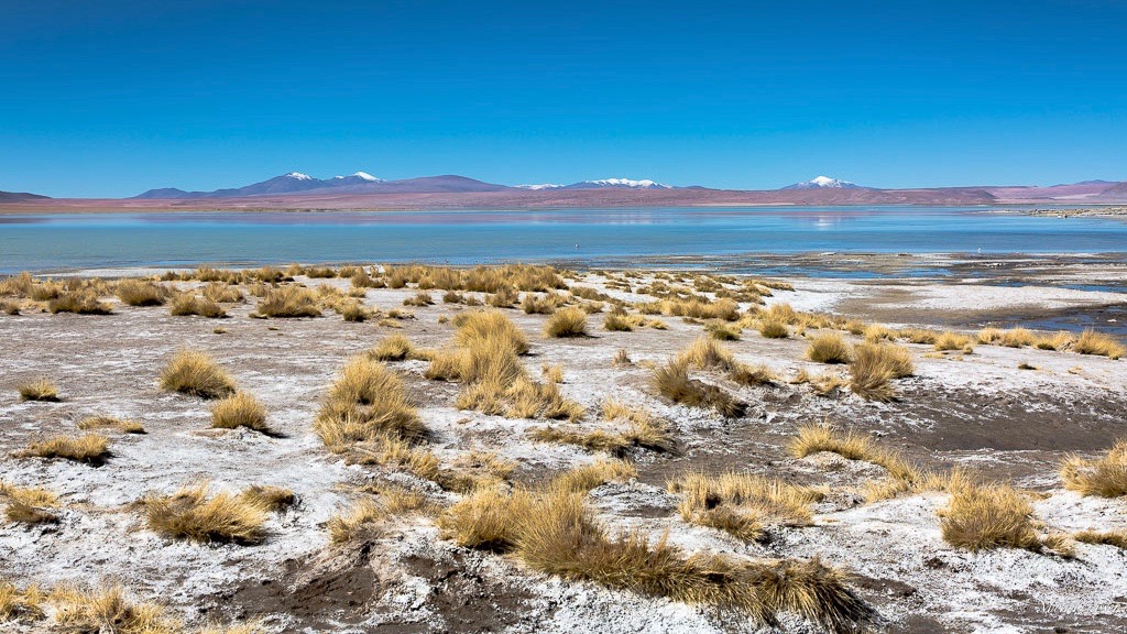 Sur%20la%20route%20du%20salar%20d%27Uyuni-4.jpg