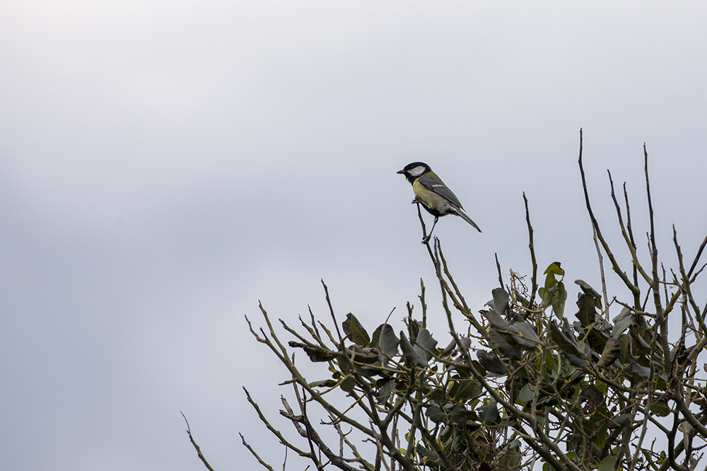 Crète Falassarna_08-04-2019-09-50-31_0039.jpg