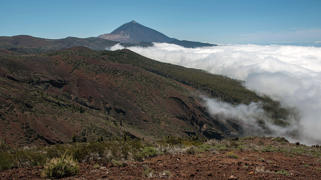 teide3.jpg