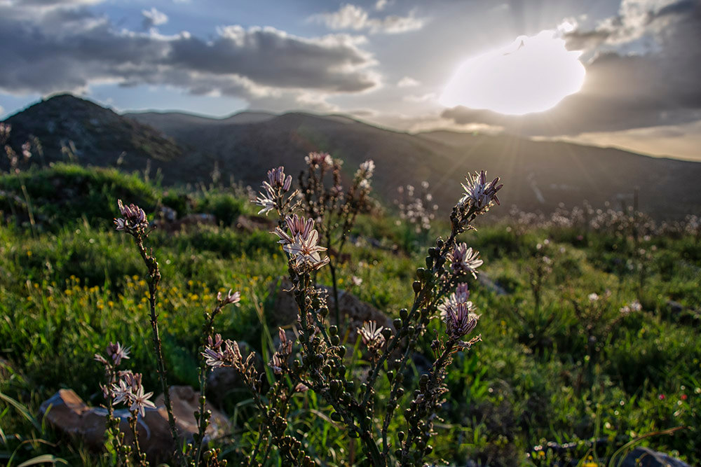 Crète Elounda_2019-04-09_182042 .jpg