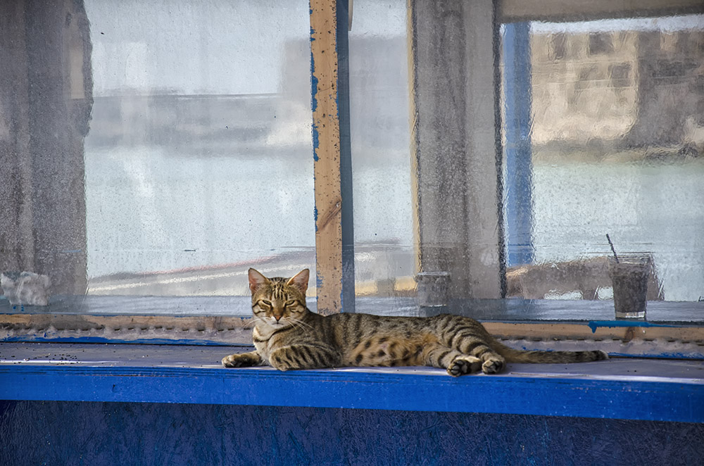 Crète Ierapetra_2019-04-11_102046 .jpg