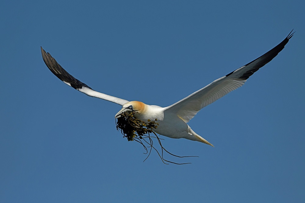 _DSC3248 - Copie.jpg