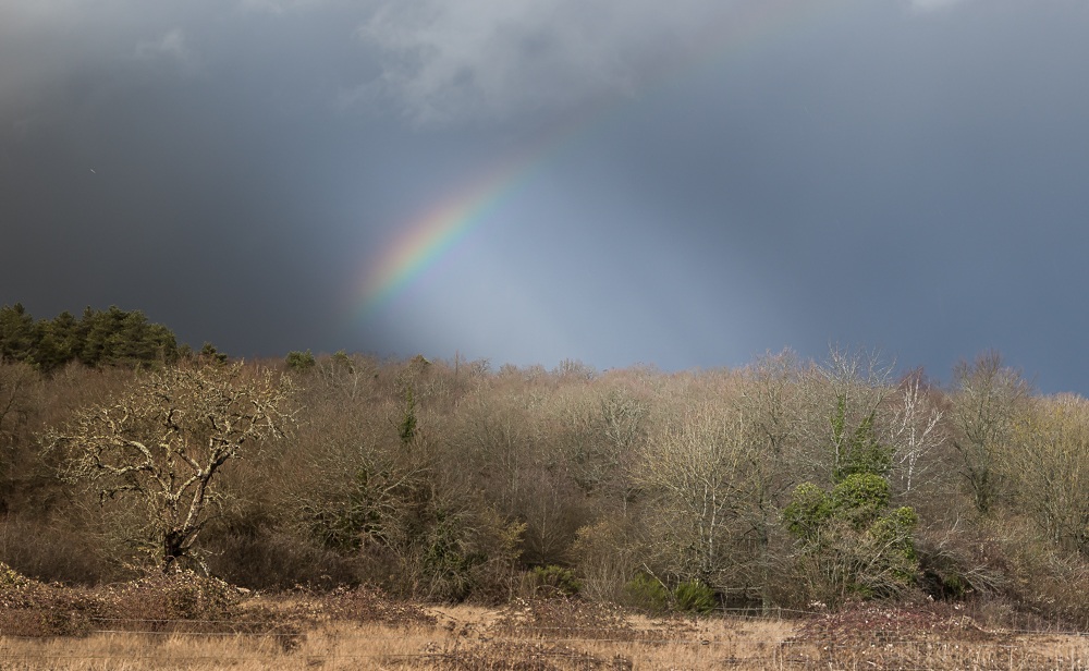 Arc en ciel.jpg