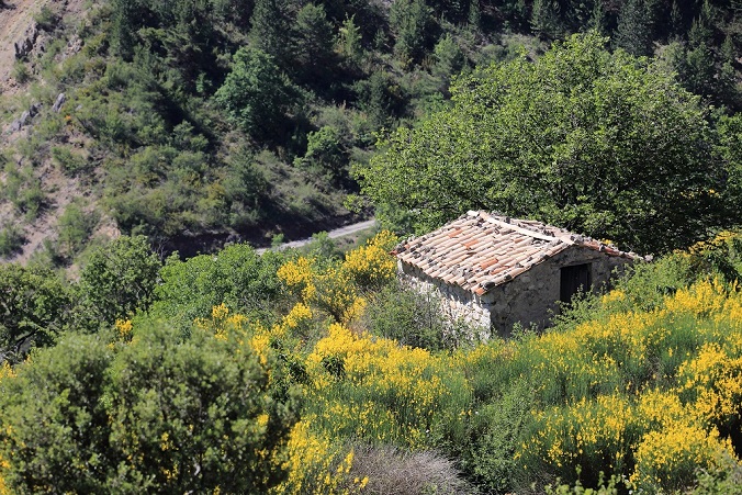 300 Drôme provençale.jpg