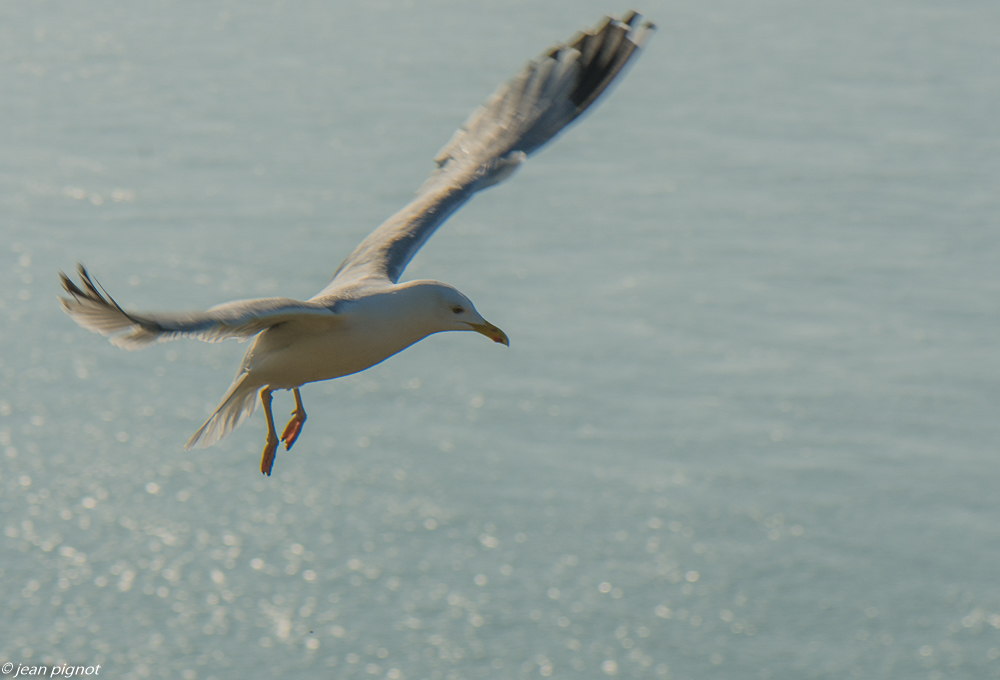 etretat 08 2019-4.jpg