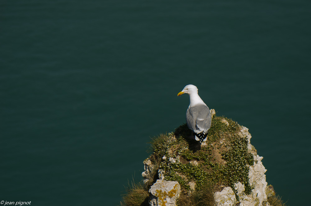 etretat 08 2019-7.jpg