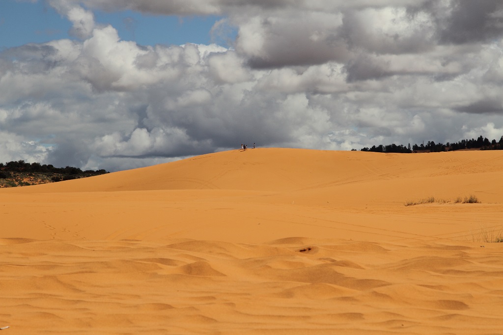 162 Coral pink sand dunes.JPG