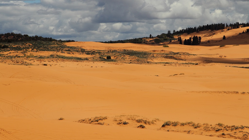 163 Coral pink sand dunes.JPG