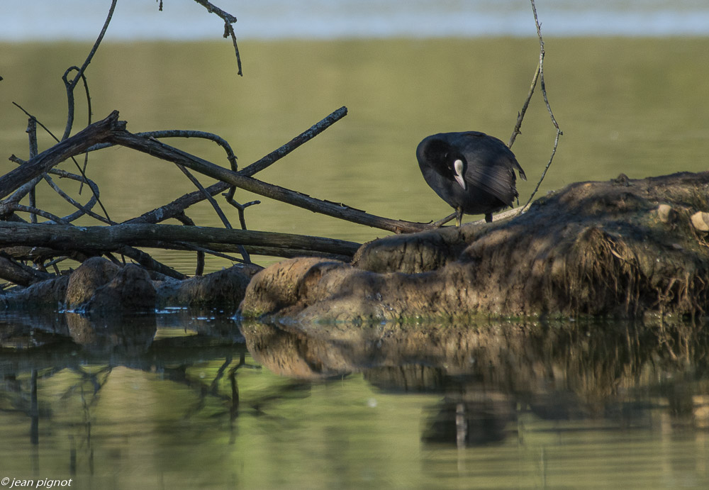 etang beinard 09 2019-2.jpg