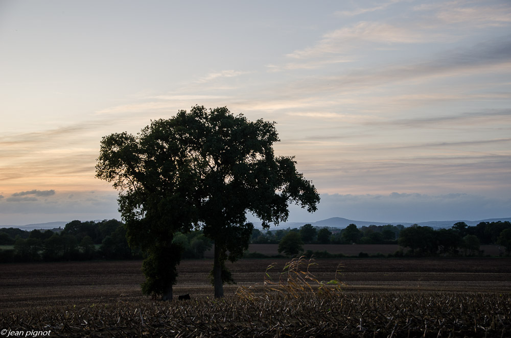 paysage de billebeaude 10 2019.jpg