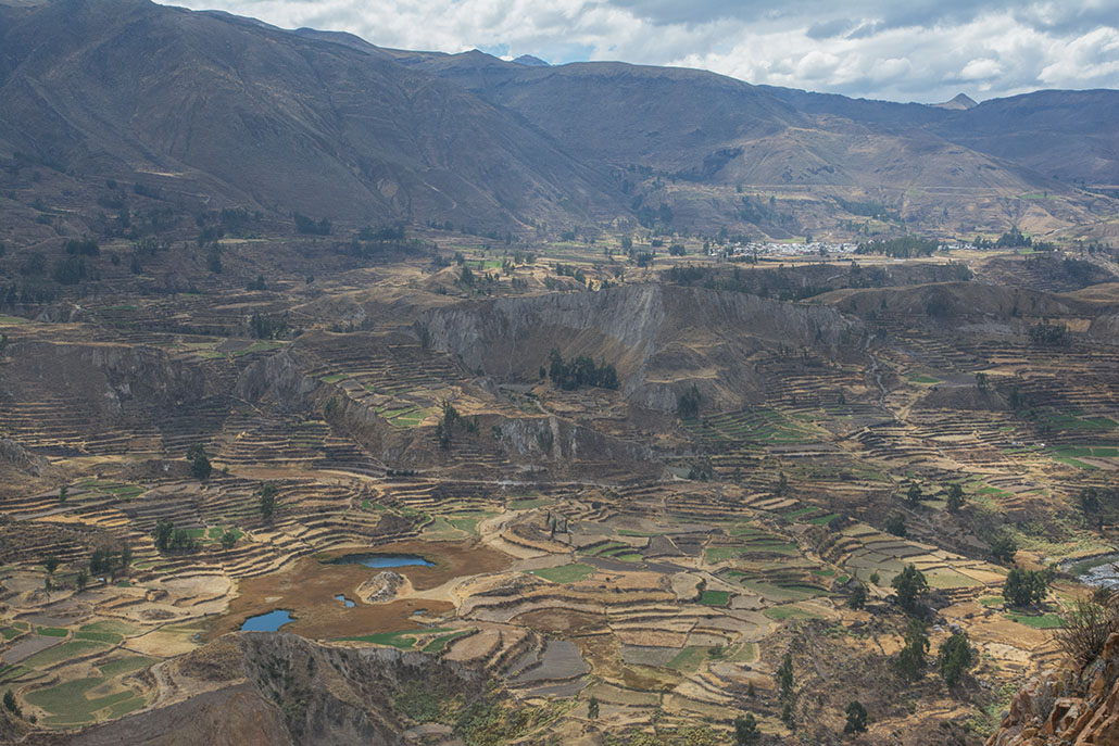 38-Canyon de Colca.jpg