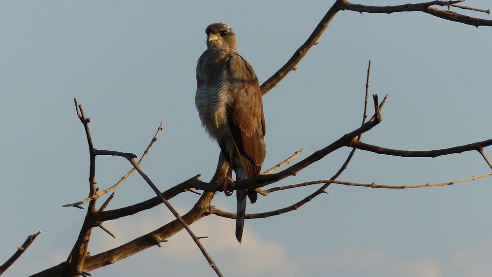 Kenya - 2019 107.JPG