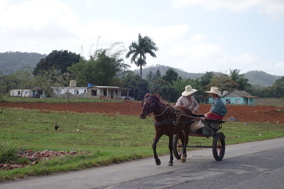 28 Transport à cheval.jpg