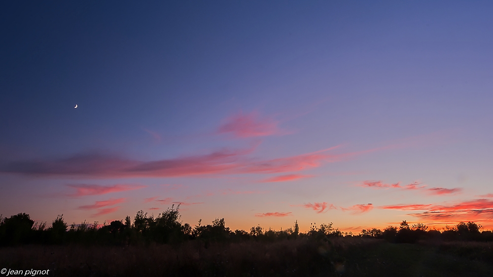 paysage d aquitaine 08 2020-7902_DxO.jpg