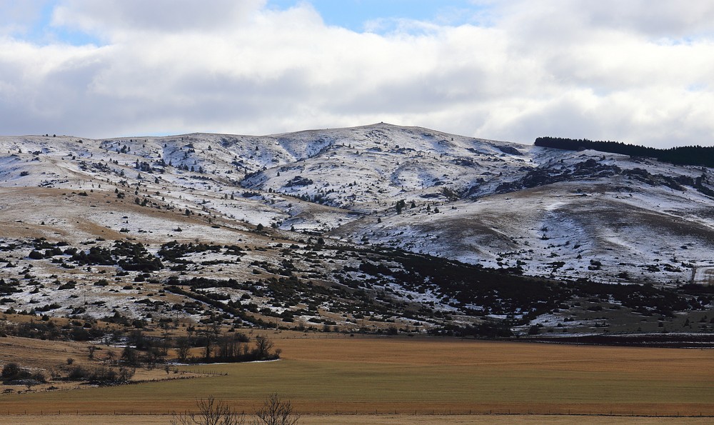 Causse Méjean 48.jpg