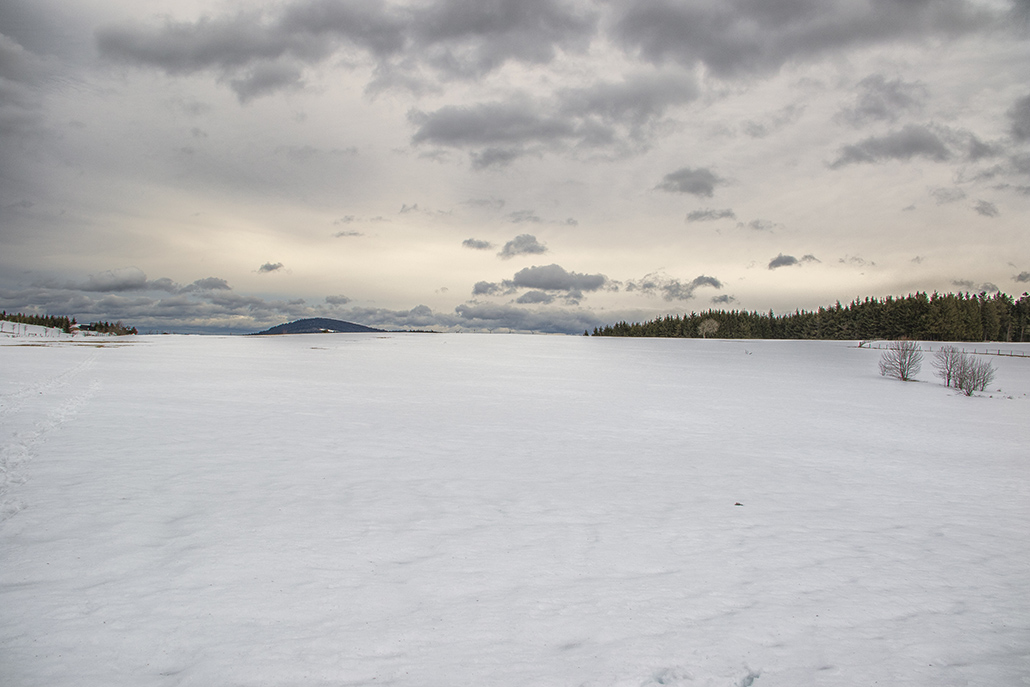 Paysage de neige SC.jpg