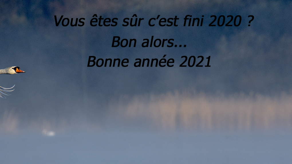 année 2021.jpg