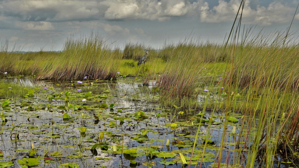 Bec biotope.JPG