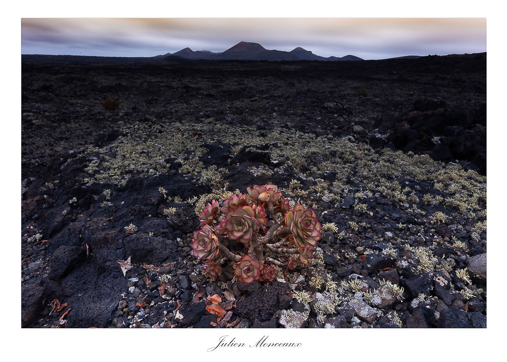 Lanzarote 231.jpg