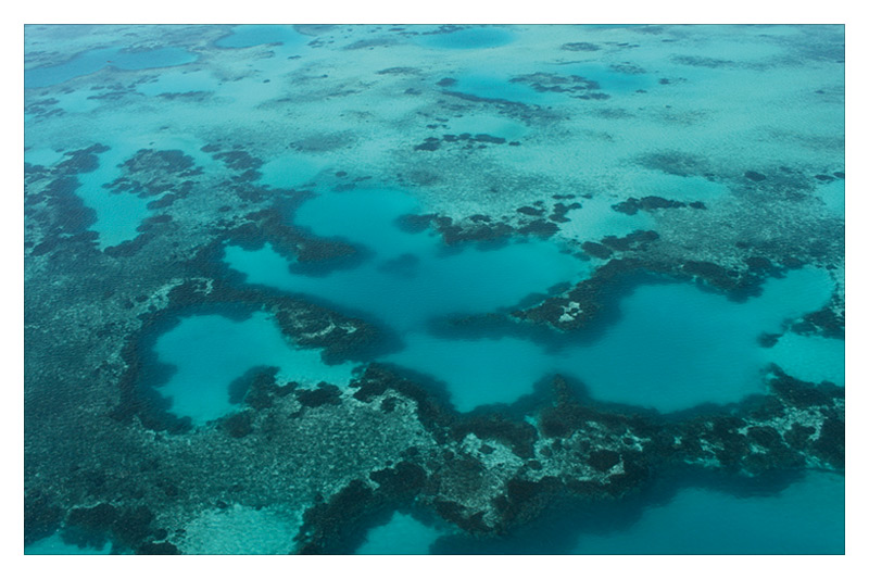 abrolhos_01.jpg