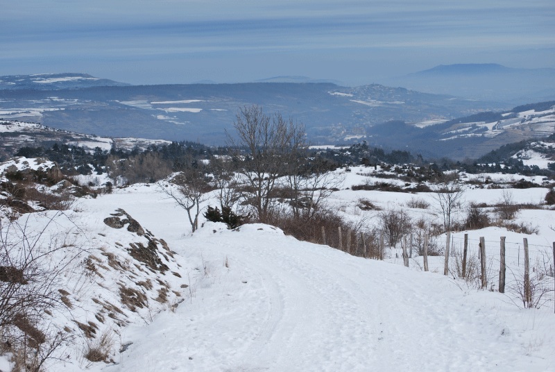 paysage-auvergne.jpg