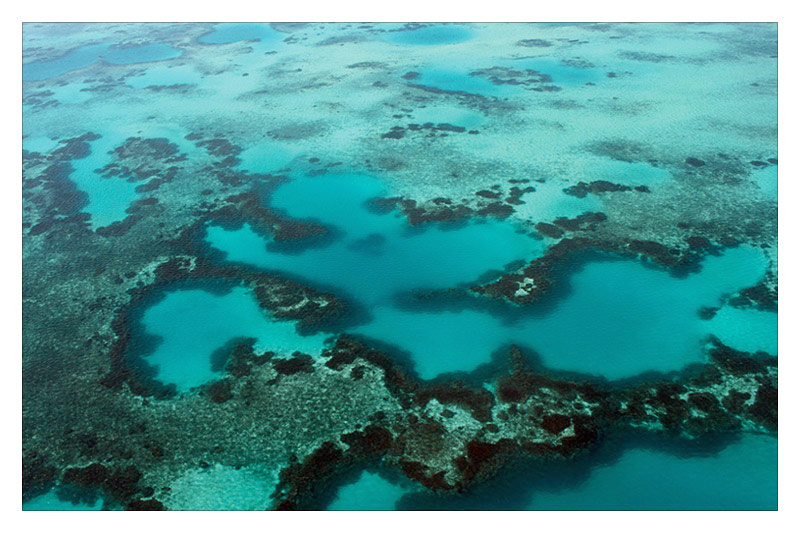 abrolhos_01B.jpg