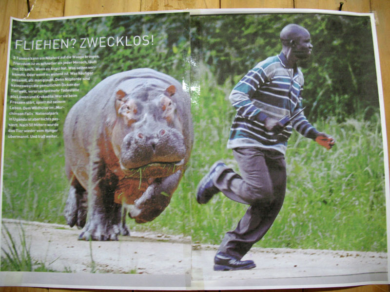 2008.03.16 022 Les hippos sont dangereux.jpg