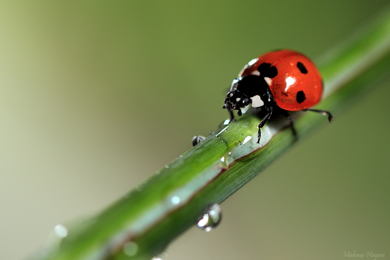 Image&Nature_sous-la-pluie_2.jpg