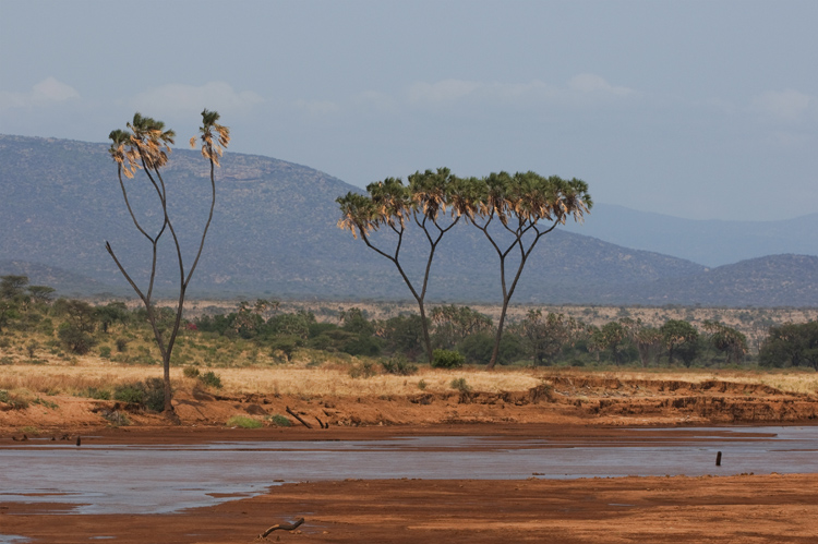 1-Samburu.jpg