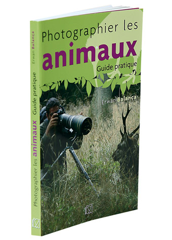 Photographier les animaux