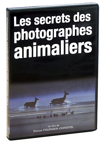 Les secrets des photographes animaliers