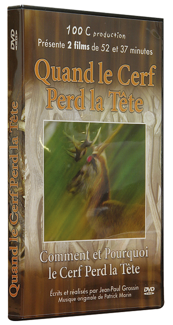 Quand le cerf perd la tête