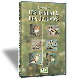 Reconnaitre les oiseaux des jardins