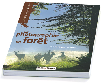 NOUVEAU - La photographie en forêt