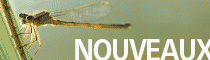 Acc�der � la boutique Image & Nature