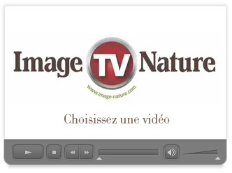 Image & Nature TV