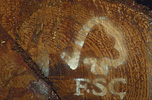 L'Europe poss�de la plus grand surface de for�ts certifi�es FSC